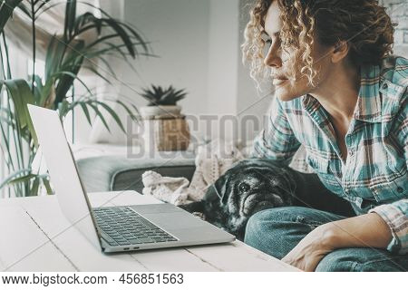 Woman Working On Laptop Concentrated Looking At The Display. Lovely Dog Relaxing. Concept Of Modern 