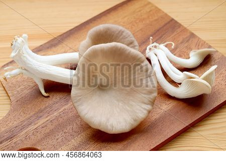 Closeup Of Fresh Harvested Indian Oyster Mushrooms Ready For Cooking