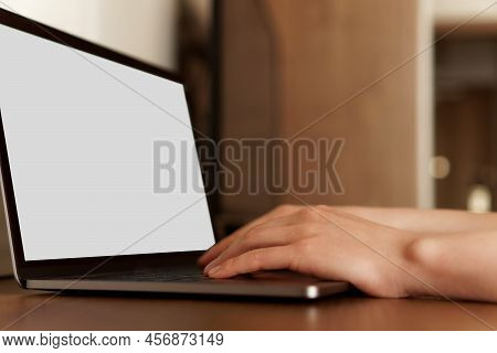 Female Hands Typing Numbers On Laptop. Investment Analysis, Trading Concept. Technology, Digitalizat