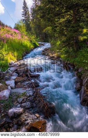 Mountain River Flowing In A Deep Green Forrest. Long Exposere, Water Flow In Motion.