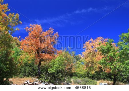 Zagoria