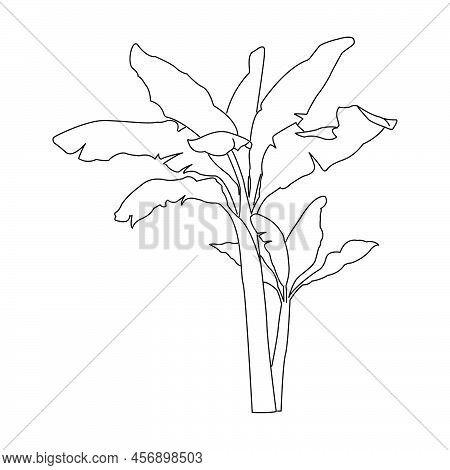 Palm Trees Continuous  Drawing. Tropical Island Line. Palm With Modern Minimal Illustration. Vector 