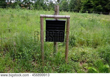 Monitoring And Capture Of Bark And Wood-destroying Insects Using Pheromone Baits, Which Are Hung Ins