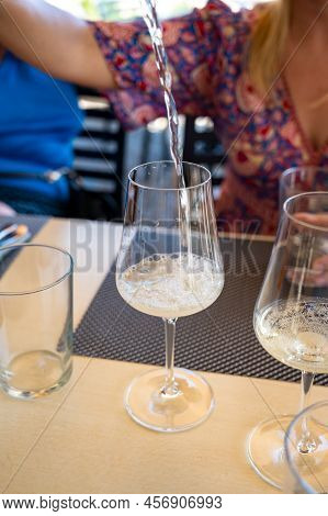 Drinking Of Txakoli Or Chacolí Slightly Sparkling Very Dry White Wine Produced In Spanish Basque Cou