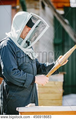Senior Man Beekeper Collecting Honey From Honeycomb