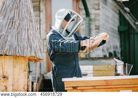 Senior Man Beekeper Collecting Honey From Honeycomb