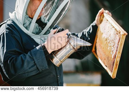 Senior Man Beekeper Collecting Honey From Honeycomb