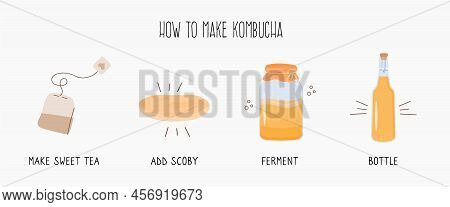 Kombucha Fermented Probiotic Homemade Drink Guide. Tea Mushroom Brewing Method With Scoby. Healthy T