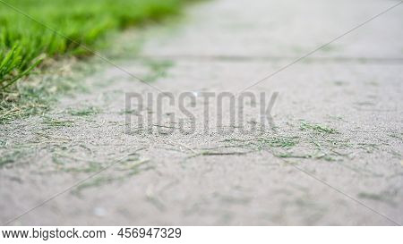 Grass Clippings Strewn Across A Residential Sidewalk After Mowing.