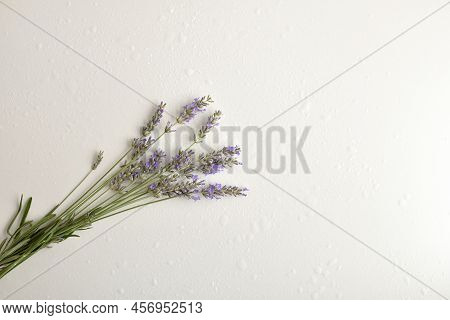Background With Bouquet Of Fresh Lavender Spikes In Bloom On White Table With Water Drops. Top View.