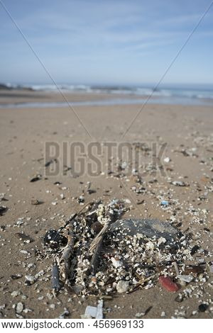 Plastic Waste And Micro Plastic Washed On The Shore Of The Atlantic Ocean