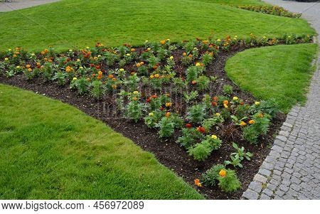 Planting Perennials In Flower Beds. Annual Rebates Are Various Crescent Trees Cut Between The Terrai