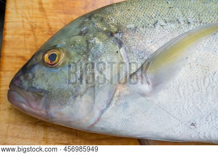 Caranx Melampygus, Bluefin Trevally Or Black Ulua On Wood Floor