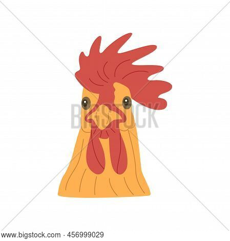 Rooster Head. Important Bird With Beautiful Red Crest Looks Straight Ahead. Colorful Vector Isolated