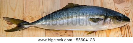 Yellowtail Fish On Wooden Board