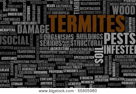Termites Concept as a Pest Control Problem