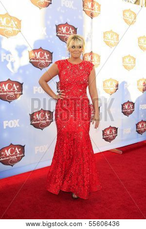LAS VEGAS - DEC 10:  Lauren Alaina at the 2013 American Country Awards at Mandalay Bay Events Center on December 10, 2013 in Las Vegas, NV