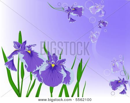 Blomster