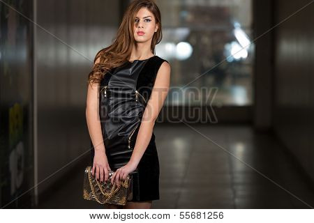 Sexy Girl In Leather Dress With A Bag