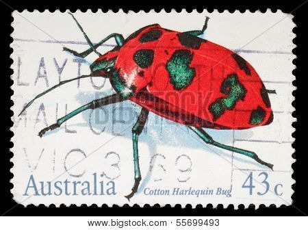 AUSTRALIA - CIRCA 1991: a stamp printed in the Australia shows Cotton Harlequin Bug, Tectocoris Diophthalmus, Insect, circa 1991