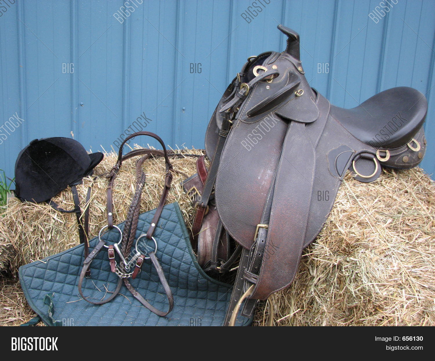 Equestrian Tack Image & Photo (Free Trial) Bigstock