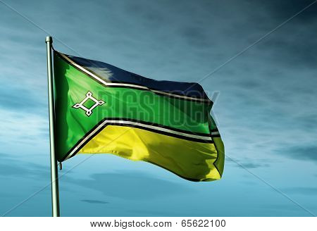 Amapa (brazil) Flag Waving On The Wind