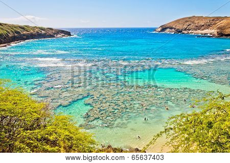 Snorkeling tropical paradise Hanauma bay in Oahu, Hawaii