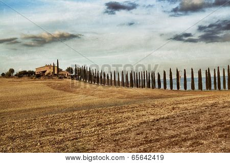 Tuscan Rural Landscape