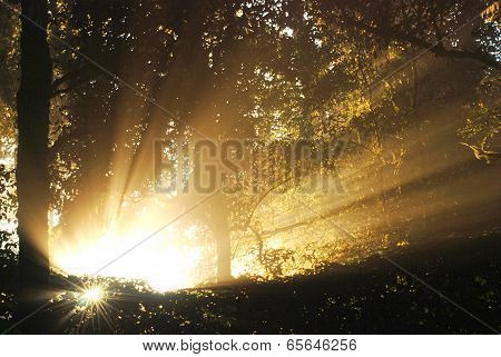 Sunshine on The moutain