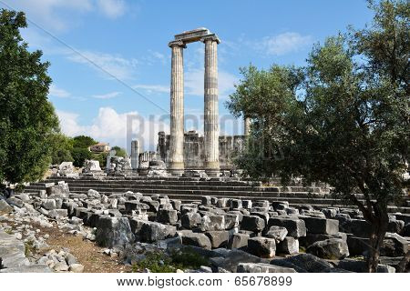 Ancient columns of the temple of Apollo in Didim, Turkey