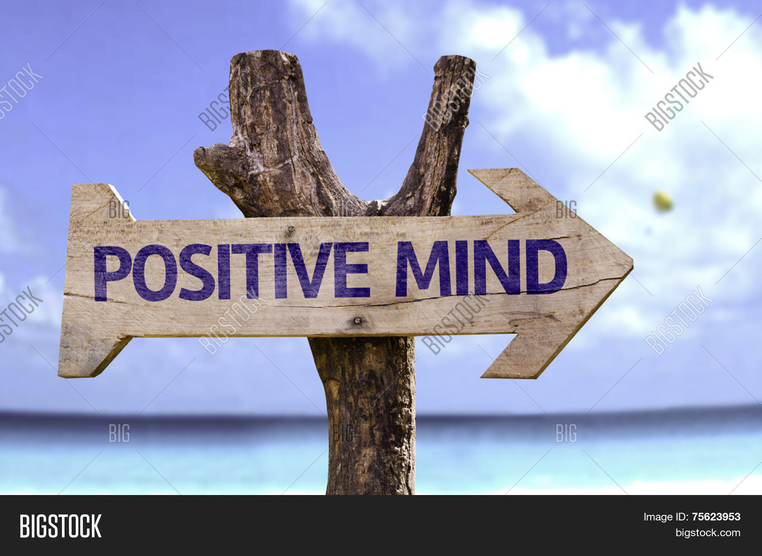 Positive Mind Wooden Image & Photo (Free Trial) | Bigstock