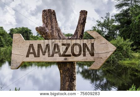 Amazon wooden sign on a forest background