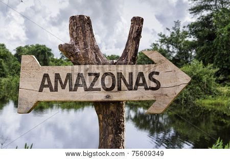 Amazonas wooden sign on a forest background