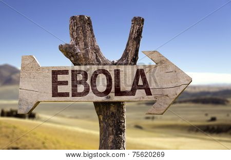 Ebola wooden sign with a desert background