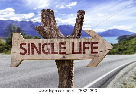 Single Life wooden sign with a road background