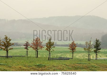 Misty Autumn Scenery