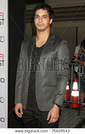 LOS ANGELES - NOV 6:  Elyes Gabel at the AFI FEST 2014 Screening Of 
