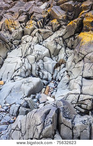 Rocky Seashore