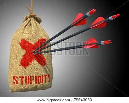 Stupidity - Arrows Hit in Red Target.