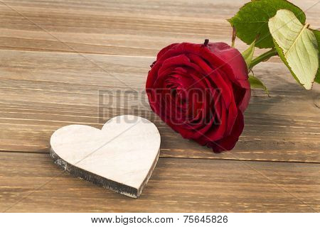 roses as a gift and surprise to a feast. symbol photo for birthday, mother's day, love, valentine's day