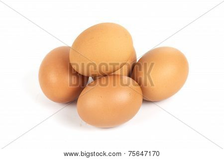 Brown Egg