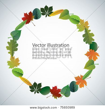 Vector Of Autumn Colorful Leaves.