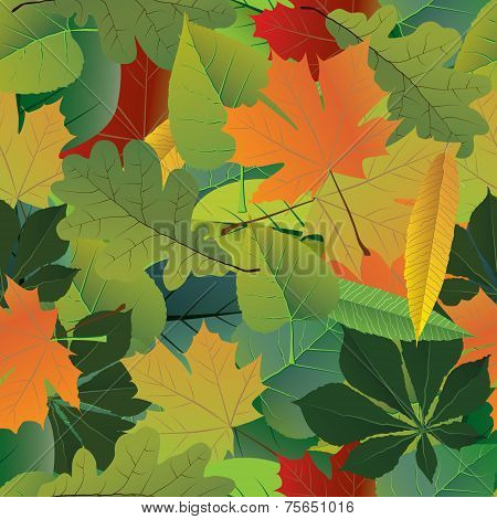 Seamless Pattern. Vector Of Autumn Colorful Leaves.