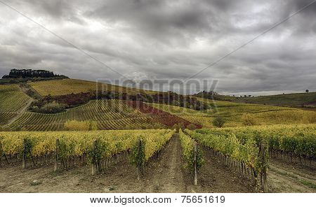 Tuscan Landscape
