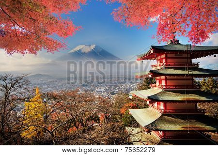Fuji Mountaion with nice maple