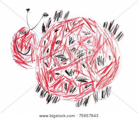 Ladybug