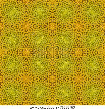 Sunflower Background
