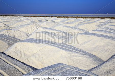 Hills Of Salt