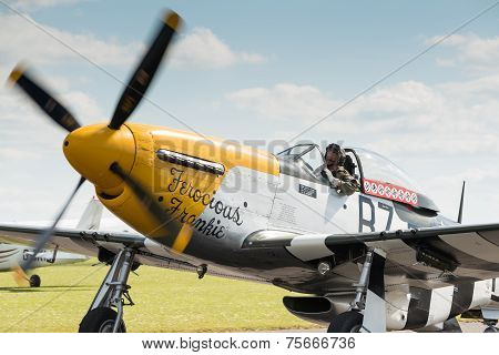 P51 Mustang Vintage Aircraft