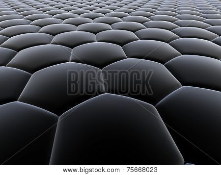 cells